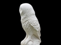 Barn Owl carved in Mediterranean limestone.